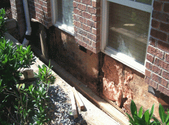 Brick and Block Moisture Damage